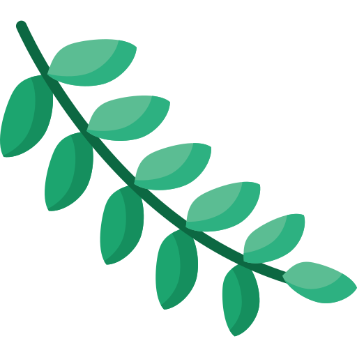 Leaf shape