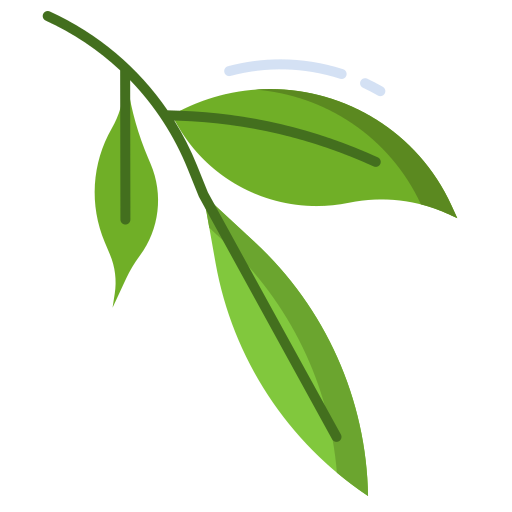 Leaf shape