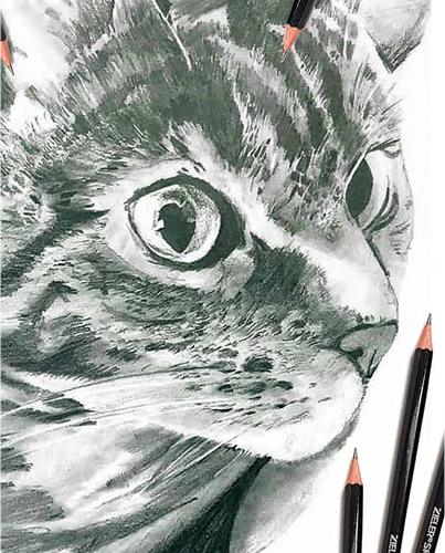Drawing portrait
